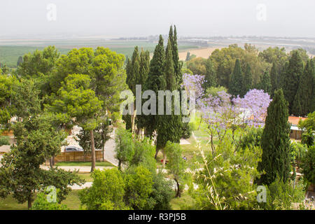 Das fruchtbare Tal von Jesreel von den historischen Tel Megiddo im unteren Galiläa Israel unternommen. Diese Seite von vielen alten Schlachten werden die Website der p Stockfoto