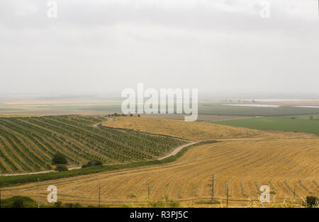 Das fruchtbare Tal von Jesreel von den historischen Tel Megiddo im unteren Galiläa Israel unternommen. Diese Seite von vielen alten Schlachten werden die Website der p Stockfoto