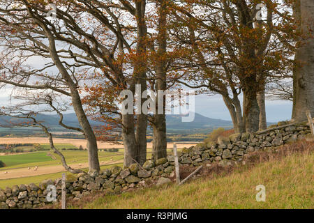 Ein Blick in Richtung Bennachie an einem bewölkten Nachmittag im Herbst. Stockfoto