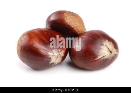 Frische essbare Kastanie auf weißem Hintergrund Stockfoto