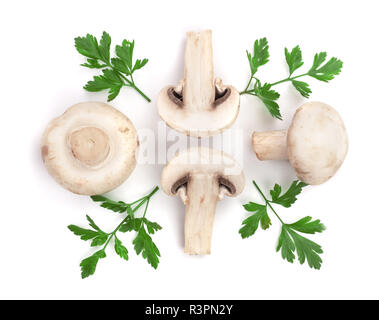 Pilze mit Petersilie Blatt auf weißem Hintergrund. top View Stockfoto
