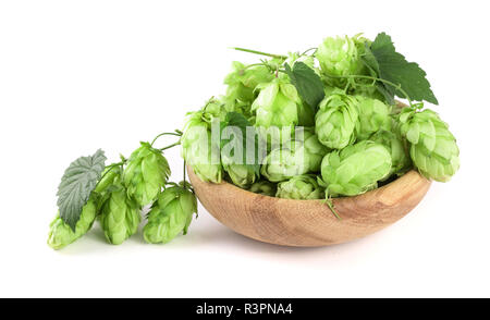 Hopfenzapfen mit Blatt in eine hölzerne Schüssel auf weißem Hintergrund schließen isoliert - oben Stockfoto