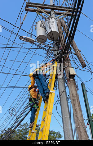 Zwei elektrische Energieverteilung Arbeiter, ein Männchen, ein Weibchen, Leitern, das Tragen von Kabelbäumen, Austausch eines Holz- Telegraphenmast mit Stahl eine auf Stockfoto