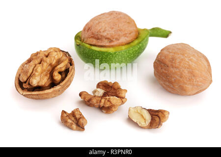 Frische Walnüsse in der Schale auf weißem Hintergrund Stockfoto