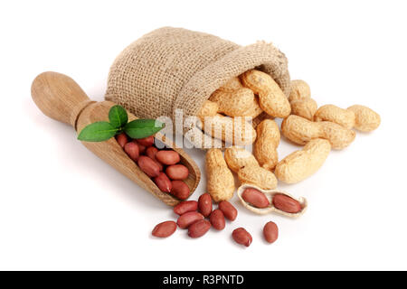Erdnüsse mit Blatt im Beutel auf weißem Hintergrund Stockfoto