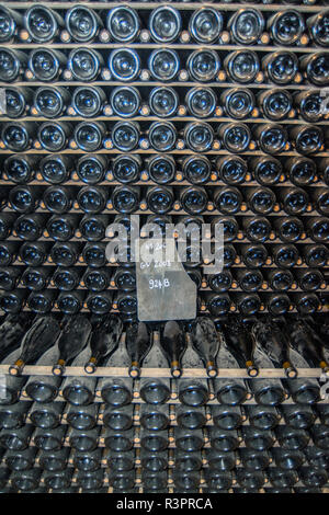 Château de Pommard, Weinkeller, Cote d'Or, Burgund, Frankreich Stockfoto