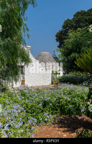 Trullo home im Masseria Aprile, Locorotundo, Italien, Europa Stockfoto