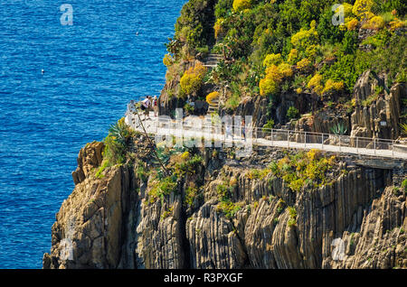 Felsige Küste entlang der Via dell'Amore (der Weg der Liebe), Riomaggiore, Cinque Terre, Ligurien, Italien Stockfoto