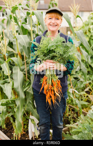 Ältere Frau mit frisch geerntete Möhren aus der Zuteilung Stockfoto