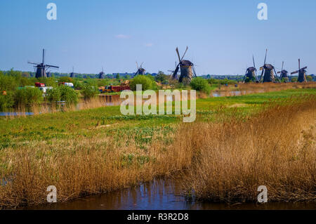 Typische holländische Polderlandschaft mit traditionellen Windmühlen. Stockfoto