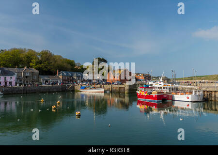 Boote Schwimmer vor Anker in der malerischen Hafen in Padstow, Cornwall, England Stockfoto