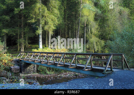 Holz- Brücke über den Fluss im Burncourt Glengarra Woods, Cahir, Tipperary, Irland Stockfoto