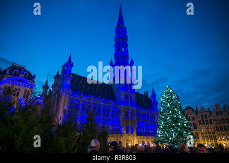Belgien, Brüssel. Grand Place Hotel de Ville Beleuchtung mit Weihnachtsbaum Stockfoto