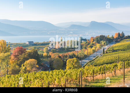 Blick auf Weinberge entlang Naramata Straße Naramata Sitzbank mit Okanagan See und Berge Stockfoto