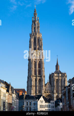 Belgien, Antwerpen. Groenplaats, Onze-Lieve-Vrouwekathedraal Turm der Kathedrale Stockfoto