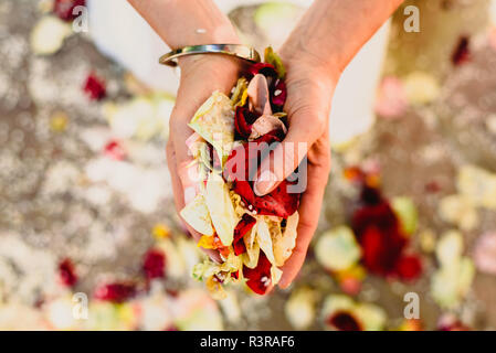 Frauenhand mit Rosenblüten Stockfoto