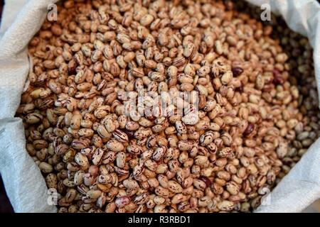 Korb mit frischen rohen Cargamanto-Bohnen, auch bekannt als Cranberry-, Borlotti- oder Romano-Bohnen auf einem Bauernmarkt in Kolumbien, Südamerika Stockfoto