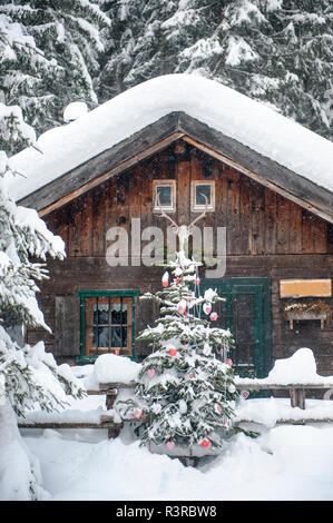 Österreich, Altenmarkt-Zauchensee, Weihnachtsbaum an der hölzernen Haus im Schnee Stockfoto