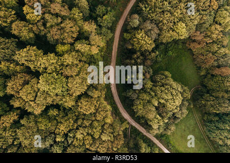 Österreich, Niederösterreich, Wiener Wald, Biosphärenreservat Wienerwald, Luftaufnahme von Schmutz der Straße und Wald in den frühen Morgenstunden Stockfoto