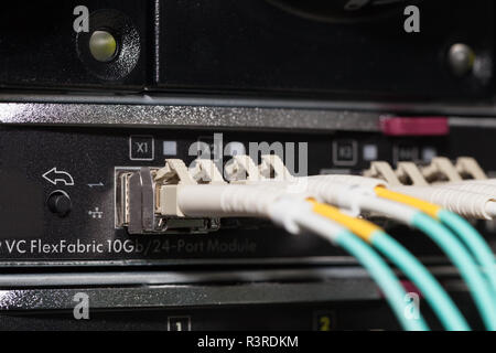 Lwl-Verbindungen auf einem Server im Rechenzentrum Stockfoto
