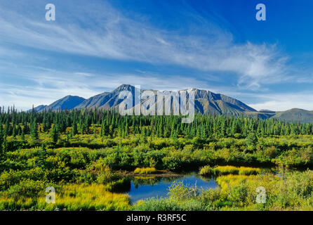 Kluane National Park. St. Elias Mountains und bewaldetes Tal. Stockfoto