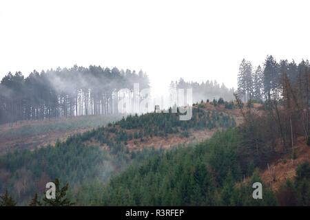 Nebel auf der sÃ¶ sestausee im Harz. Stockfoto