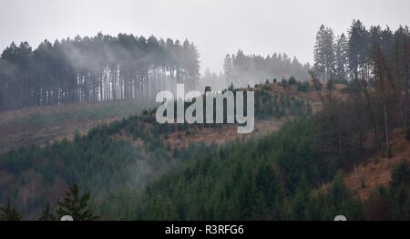 Nebel auf der sÃ¶ sestausee im Harz. Stockfoto