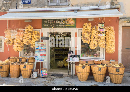 Schwamm store, Altstadt, Korfu, Griechenland Stockfoto