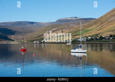 Island, Westfjorde. Isafjordur, der größten Stadt in den Westfjorden mit etwa 3.000 Menschen. Segelboote in der ruhigen inneren Fischereihafen. Stockfoto