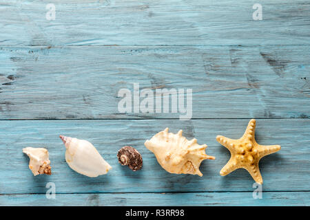 Seesterne und Muschel auf blauem Boards. Copyspace Stockfoto