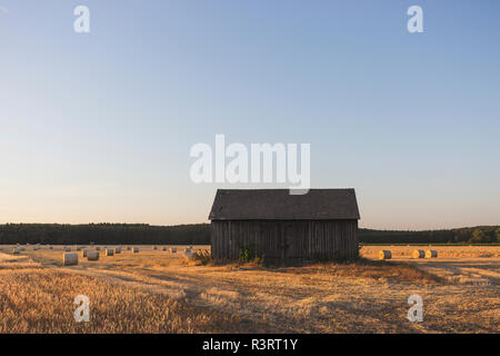 Scheune auf einem Feld an der erntezeitraum am Abend Stockfoto