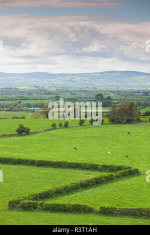 Irland, County Tipperary, Cashel, erhöhten Blick auf die Landschaft Stockfoto