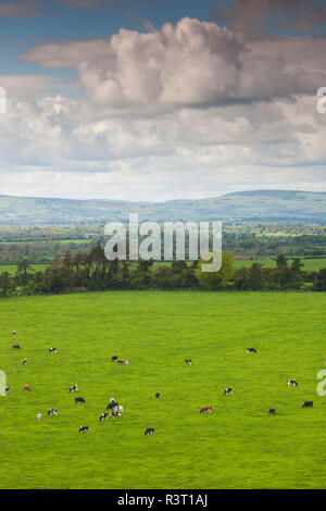 Irland, County Tipperary, Cashel, erhöhten Blick auf die Landschaft Stockfoto
