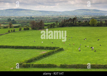Irland, County Tipperary, Cashel, erhöhten Blick auf die Landschaft Stockfoto