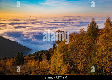 Meer von Nebel mit tief hängenden Wolken in der Oberrheinischen Tiefebene aus dem Königstuhl Aussichtspunkt, Heidelberg, Baden-Württemberg, Deutschland Stockfoto