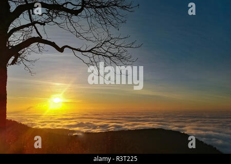 Meer von Nebel mit tief hängenden Wolken in der Oberrheinischen Tiefebene aus dem Königstuhl Aussichtspunkt, Heidelberg, Baden-Württemberg, Deutschland Stockfoto