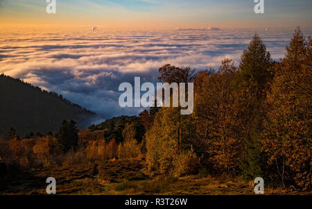 Meer von Nebel mit tief hängenden Wolken in der Oberrheinischen Tiefebene aus dem Königstuhl Aussichtspunkt, Heidelberg, Baden-Württemberg, Deutschland Stockfoto