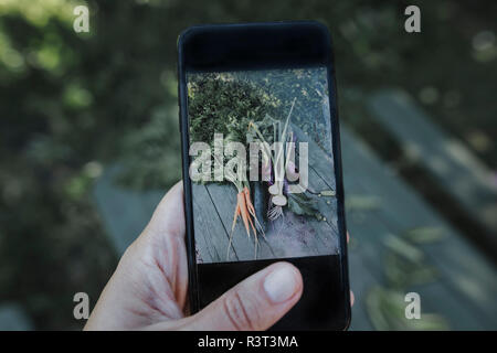 Hand, denn Smartphone Bild von Gemüse liegen auf Garten Tisch Stockfoto