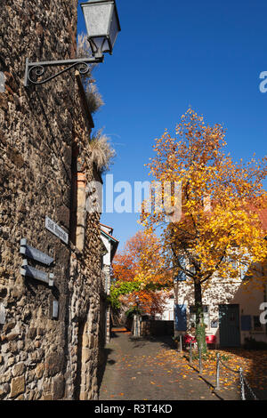 Deutschland, Rheinland-Pfalz, Freinsheim, Stadtmauer im Herbst Stockfoto