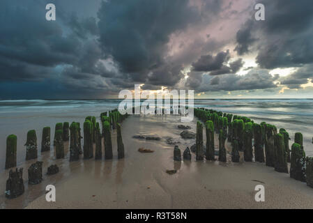 Deutschland, Schleswig-Holstein, Sylt, Rantum, Buhnen auf West Beach Stockfoto