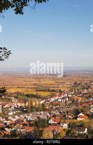 Deutschland, Rheinland-Pfalz, Pfalz, Deutsche Weinstraße, weindorf Gimmeldingen und Herbst Weinberge, Rheintal in Abstand Stockfoto