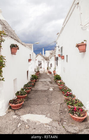 Italien, Apulien, Alberobello, Blick auf die Gasse, die mit Reihen von Blumentöpfen Stockfoto