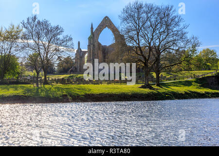 England, North Yorkshire, Wharfedale, Bolton Abbey, Bolton Priory. Gelände und Ruinen des Augustinerklosters aus dem 12. Jahrhundert. In der Nähe von River Wharfe. Stockfoto