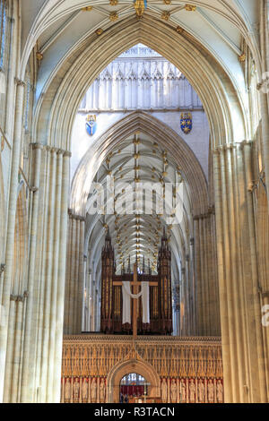 England, Yorkshire, York. Englisch gotische Kathedrale und Metropolitical Kirche St. Peter in York, York Minster. Dekorierte gotische Kirchenschiff. Stockfoto