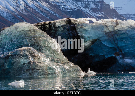 Grönland, Scoresby Sund, Gasefjord. Schmutziger Eisberg von der Unterseite des Gletschers. Stockfoto