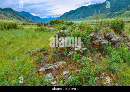 Malerische trübe Sommer Landschaft der Berge mit grünem Gras und Büschen bedeckt und mit verstreuten Felsblöcken in Altai Gebirge, Russland. Ge Stockfoto