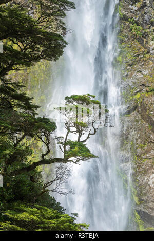 Neuseeland, Südinsel, Arthur's Pass, Devil's Punchbowl Falls, Nahaufnahme Stockfoto