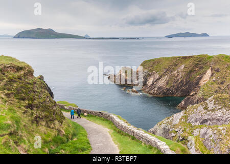 Irland, County Kerry, Dingle Halbinsel, Slea Head Drive, Dunquin, erhöhten Blick auf die Dunquin Pier Stockfoto