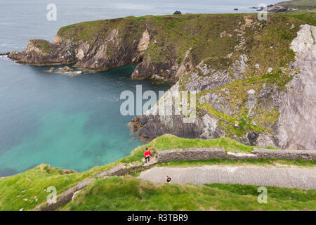 Irland, County Kerry, Dingle Halbinsel, Slea Head Drive, Dunquin, erhöhten Blick auf die Dunquin Pier Stockfoto