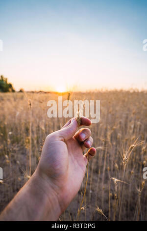 Des Menschen Hand, Ohr, close-up Stockfoto